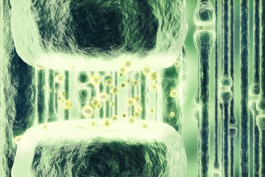 grüne Abbildung Makroaufnahme Signalübertragung des Endocannabinoid-Systems 